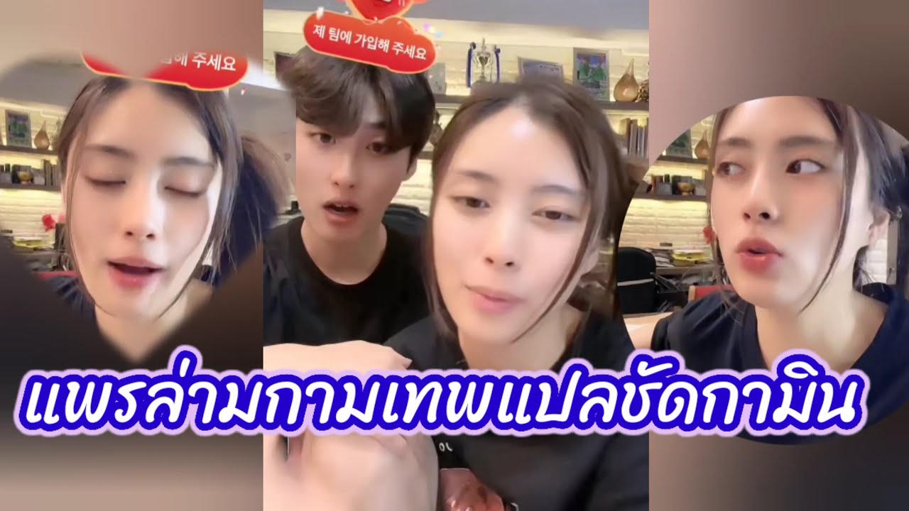 แพรล่ามกามเทพ ถอดคำแปลชาลีกามิน โหนกระแสชัดเจน🌼❤️#แน็กแฟนฉัน #ชาลี