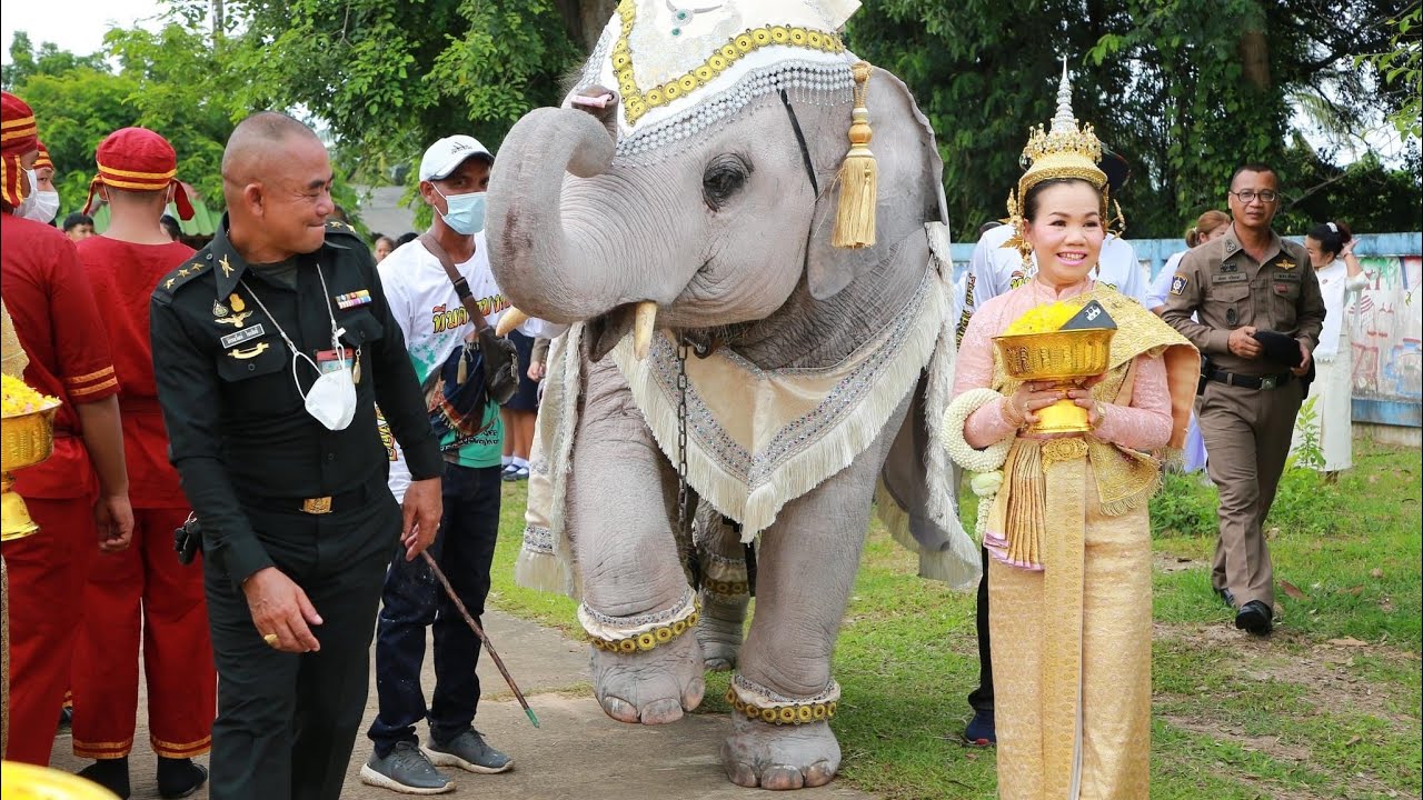 แสงแห่งดาว(ดาวมงคล)-ตุ้มเพื่อนเพลง