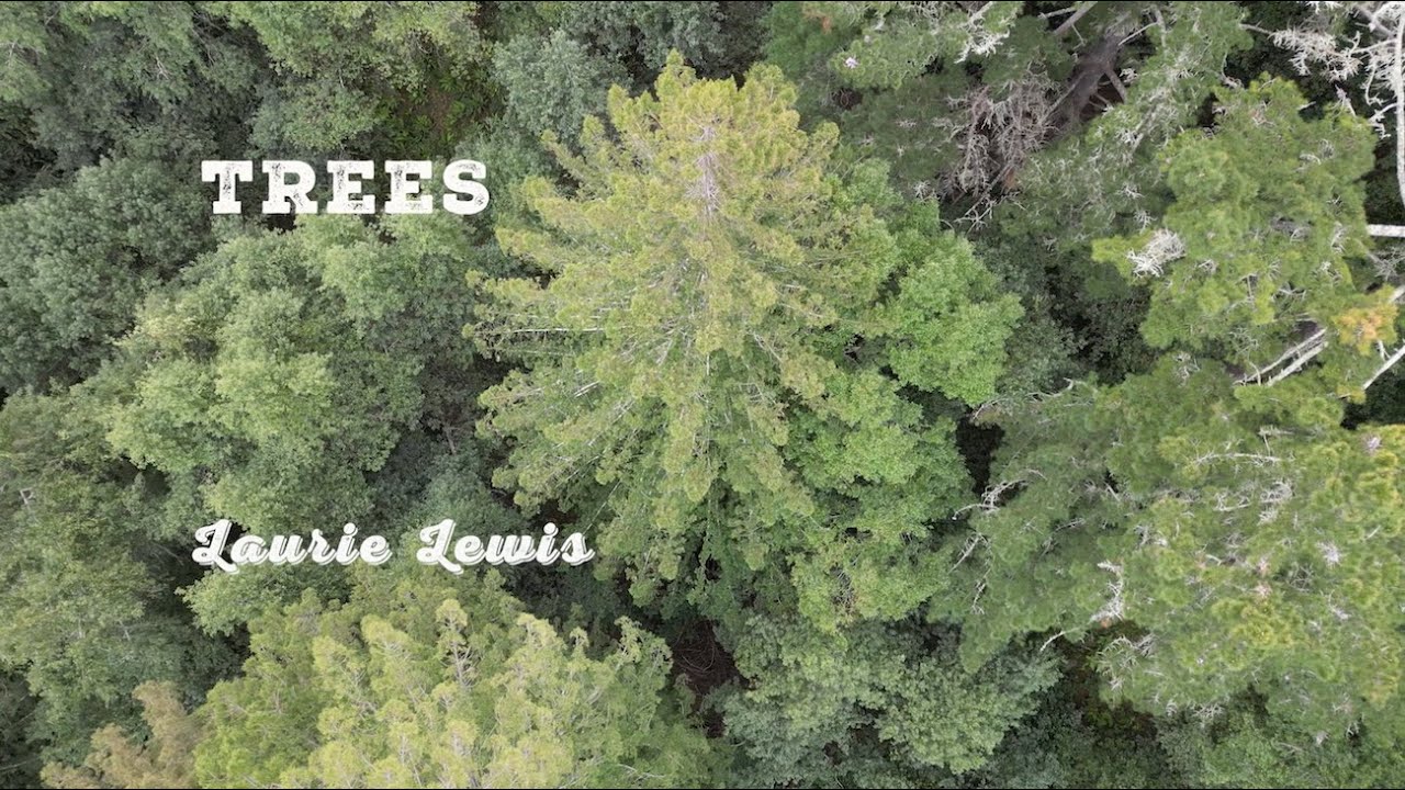 Laurie Lewis - Trees ( Official Video)