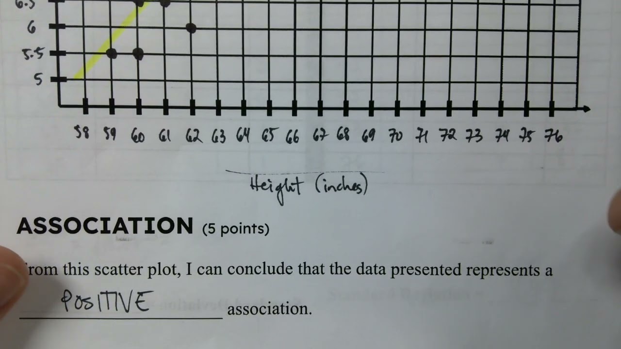 Scaling + Graphing Explanation (M1)