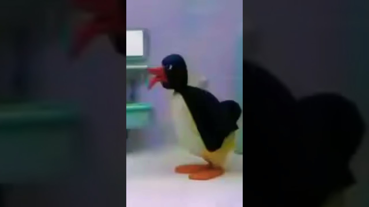 Pingu piscia per terra 🤣🤣🤣