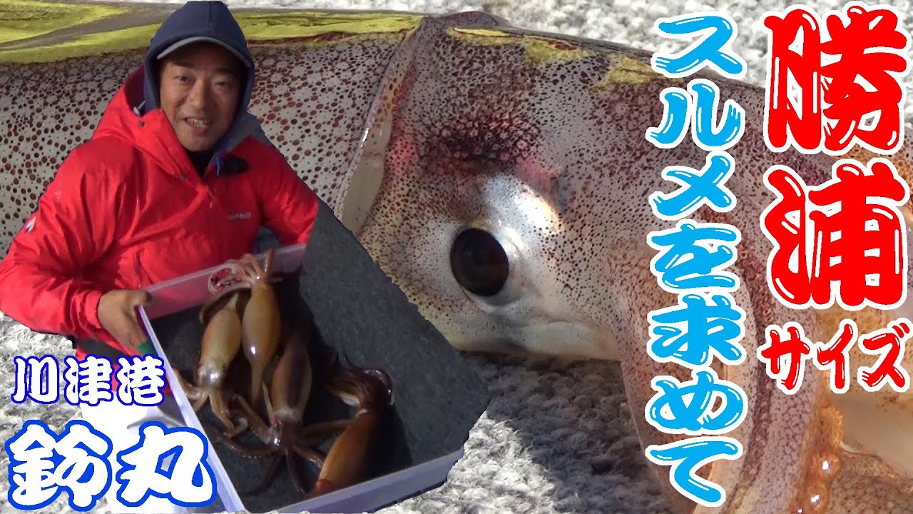 【鈴丸】スルメイカ釣り　勝浦沖