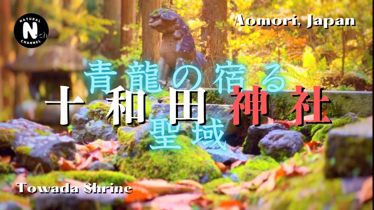 4K【パワースポット】青龍の宿る聖域【十和田神社】龍神信仰の聖地