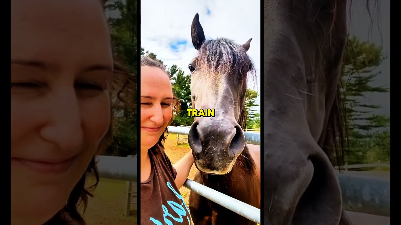 5 MOST Gentle Horse Breeds You'll FALL IN LOVE With? #horse #equestrianjourney #animalfacts