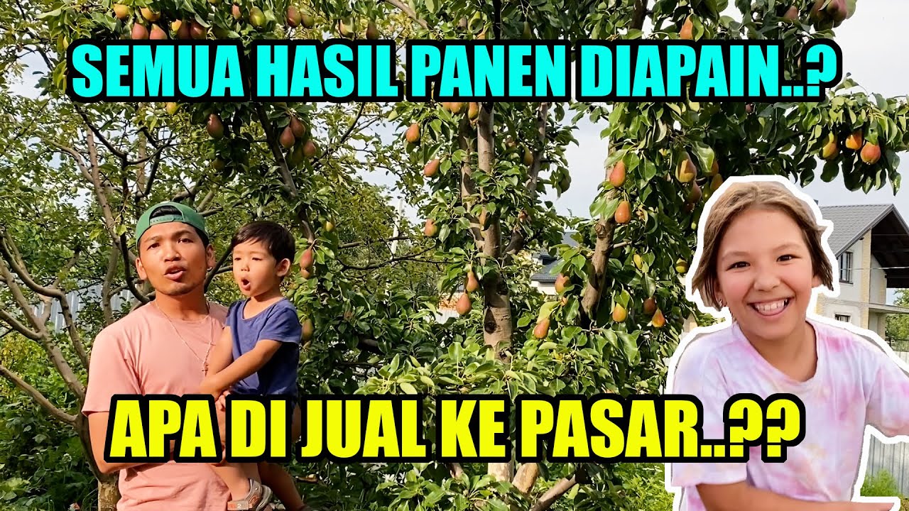 INILAH ALASAN KENAPA BANYAK TANAM BUAH & SAYURAN DI DESA UKRAINA - SAMA KITA MAHAL BUAT MEREKA MURAH