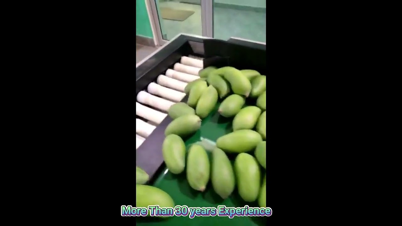 MANGO GRADING Machine +919896091276
