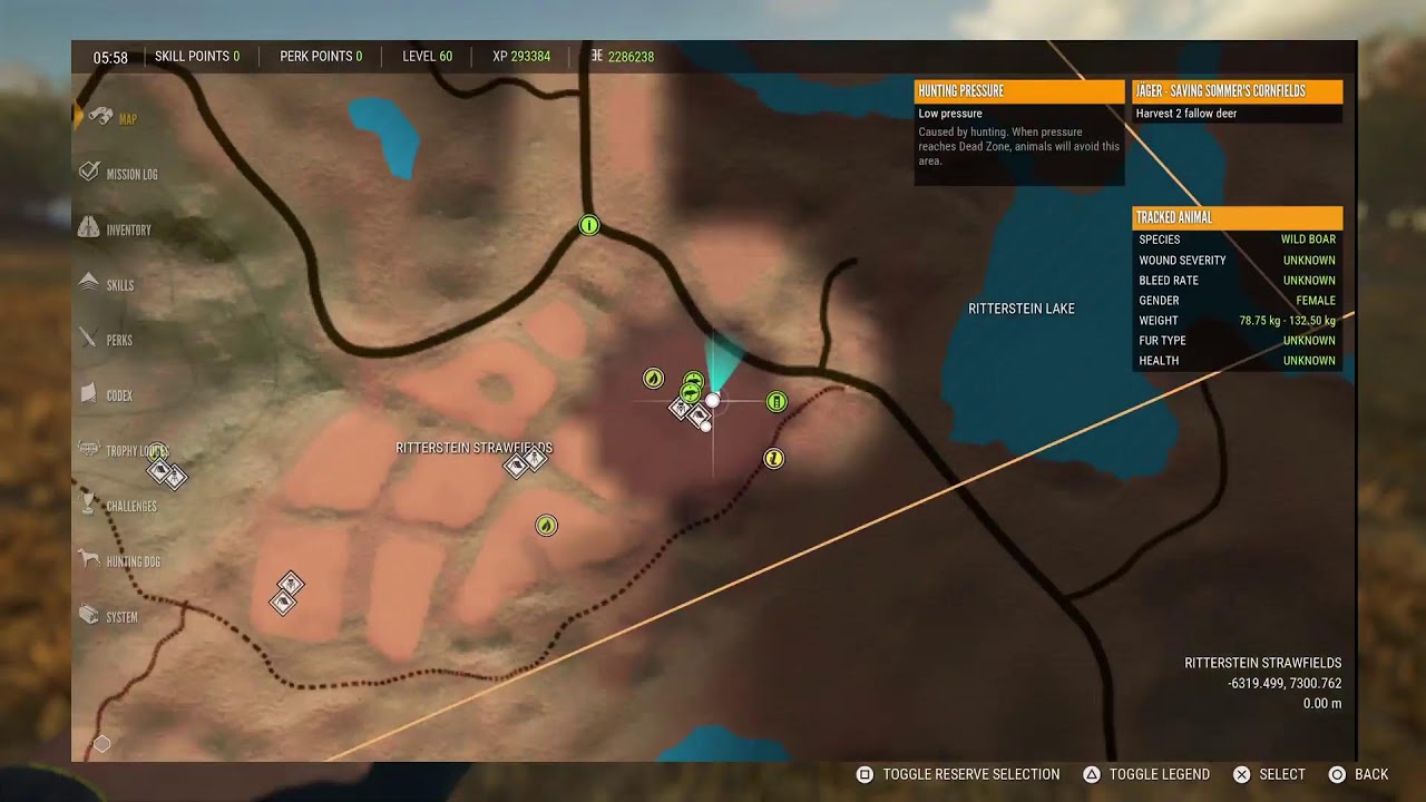 Can we spawn the Great One Wild Boar on stream?🤔
