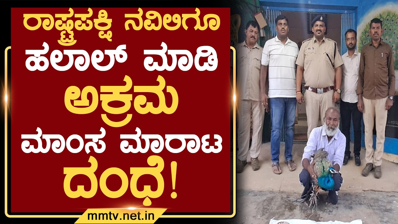 ರಾಷ್ಟ್ರಪಕ್ಷಿ ನವಿಲಿಗೂ ಹಲಾಲ್ ಮಾಡಿ ಅಕ್ರಮ ಮಾಂಸ ಮಾರಾಟ ದಂಧೆ ! | ಚಿಕ್ಕಬಳ್ಳಾಪುರ @MMTV-News 24-06-2026