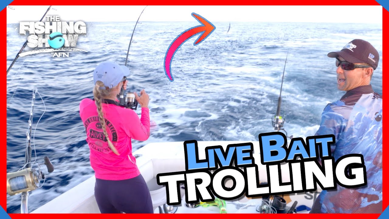 Cairns Black Marlin Fishing