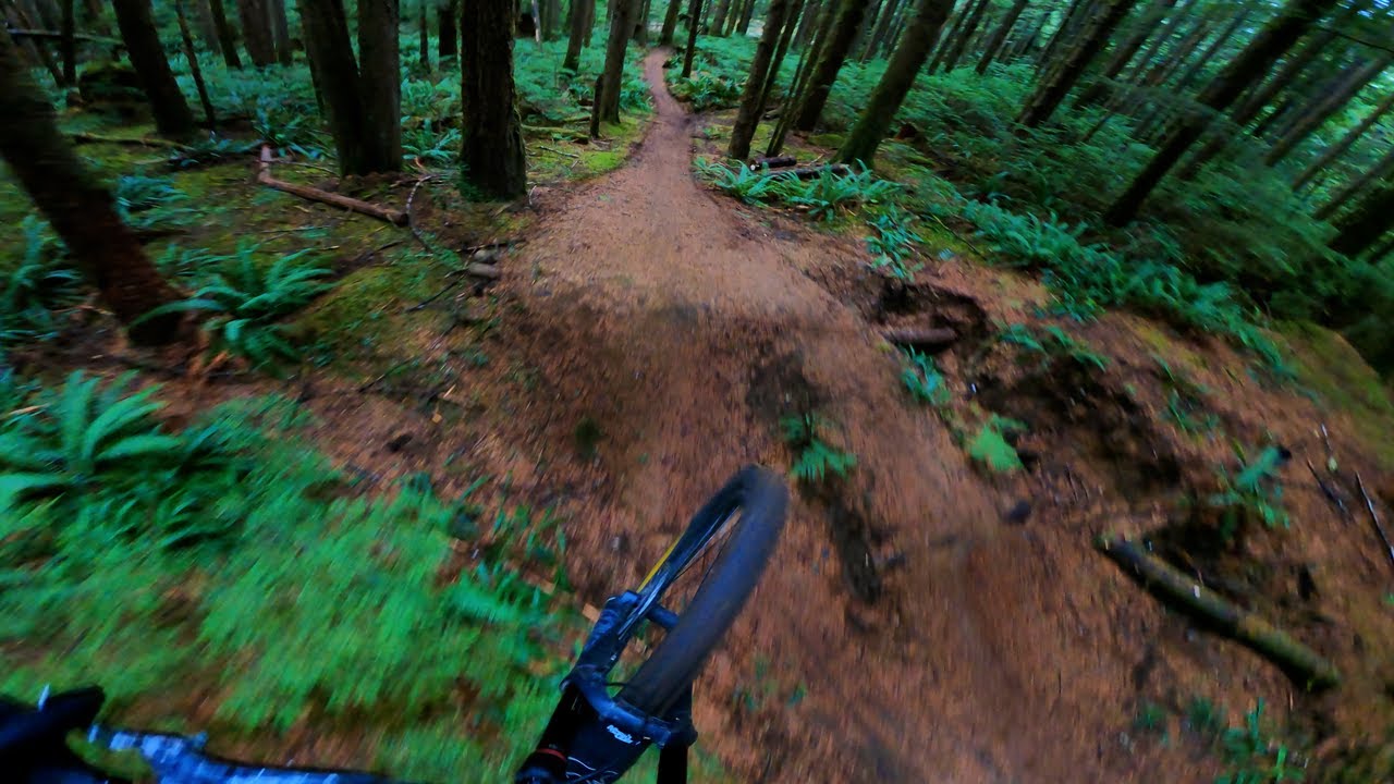Crikey Creek // Quadra Island