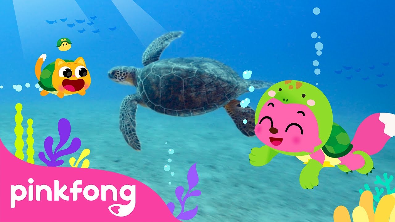 I&rsquo;m a Baby Turtle | Sneak Peek of Baby Turtle's Day! | Kids Nursery Rhyme | Pinkfong Ninimo