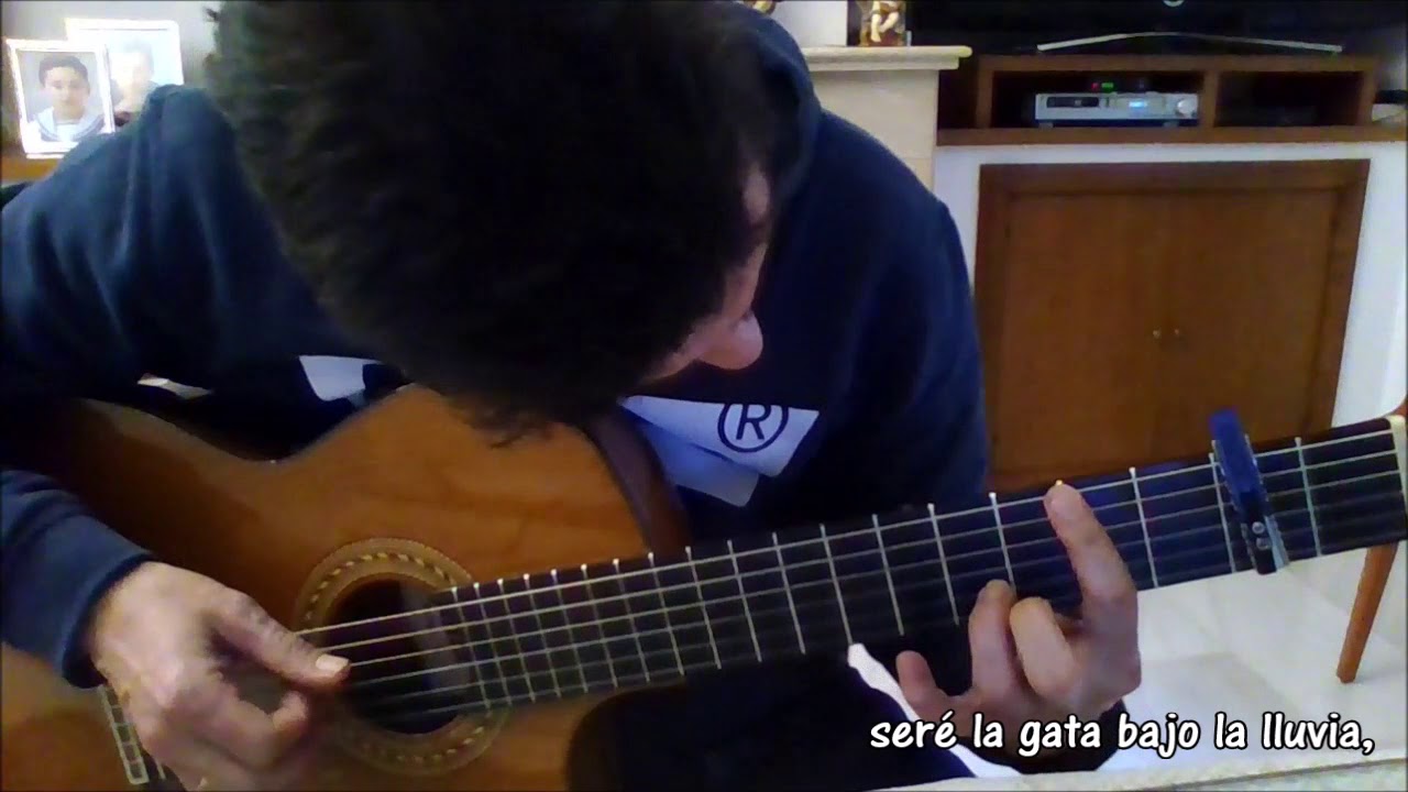 La gata bajo la lluvia guitarra