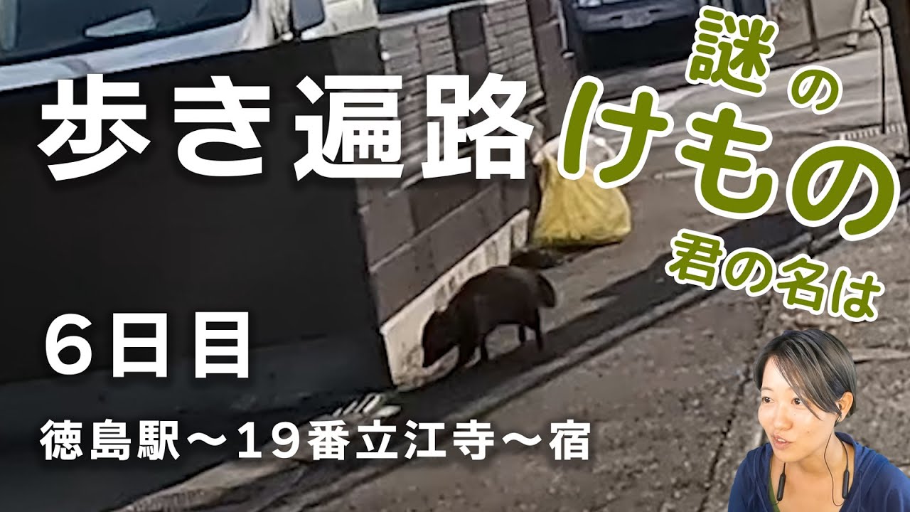 【歩き遍路】6日目　四国８８ヶ所　徳島駅 ～ 19番 立江寺 ～ 宿（全55日）