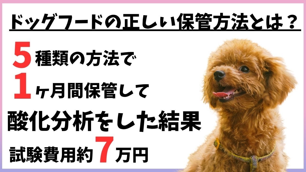 ドッグフードの正しい保管方法とは？ちゃんと分析して検証した結果