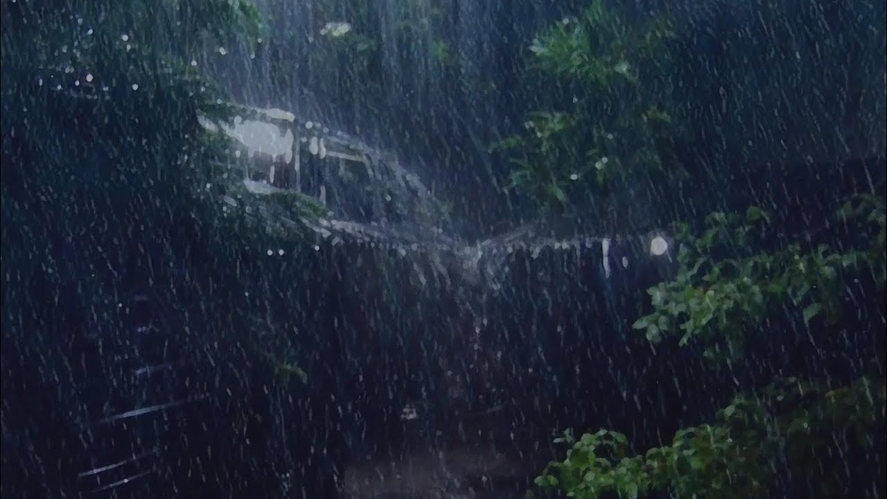 Tranquil Rain Sounds with Thunder for the Perfect Sleep Ambience.