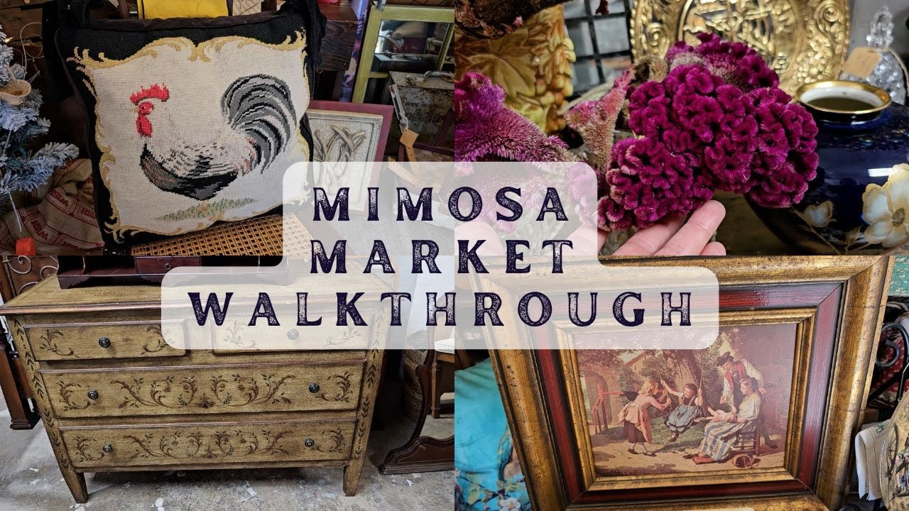 LET'S SEE WHAT TREASURES WE CAN FIND AT MIMOSA MARKET! 