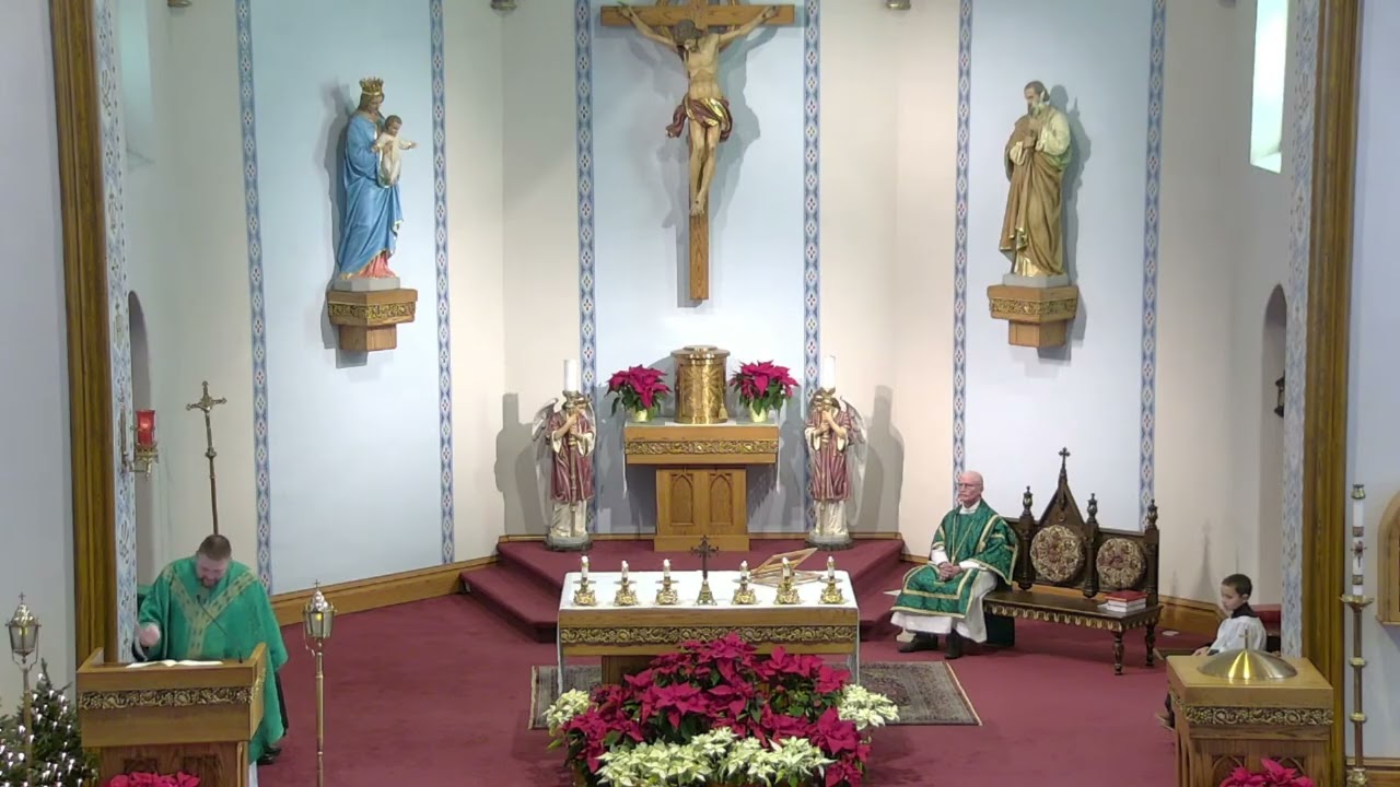 Homily of Holy Mass ~ February 1st 