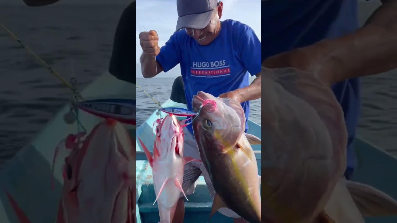 COMBO AMBERJACK DAN RUBY SNAPPER‼️ 