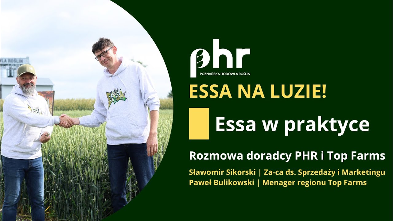 Essa w praktyce &ndash; rozmowa z doradcami PHR i Top Farms | Pszenica ozima 2025 | PHR