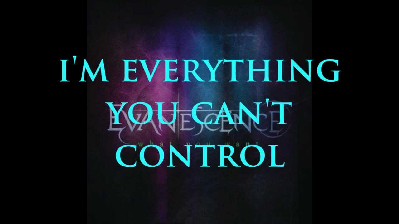 Evanescence - What You Want Lyrics