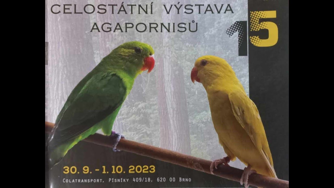 Wystawa nierozłączek - Brno 2023