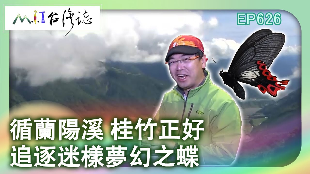 【MIT台灣誌 #626】循蘭陽溪 桂竹正好 追逐迷樣夢幻之蝶_20140615