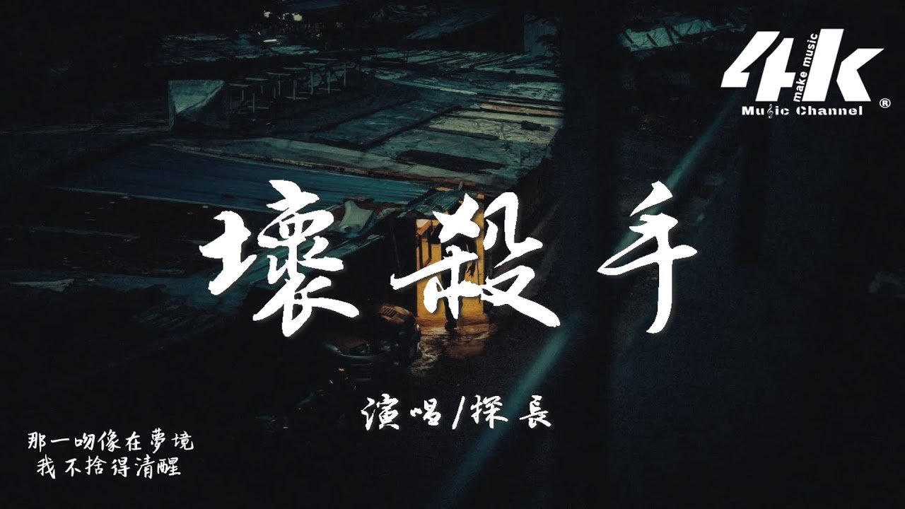 探長 - 壞殺手『親愛的你是最壞的殺手，說再見又痛又溫柔。』【高音質|動態歌詞Lyrics】♫