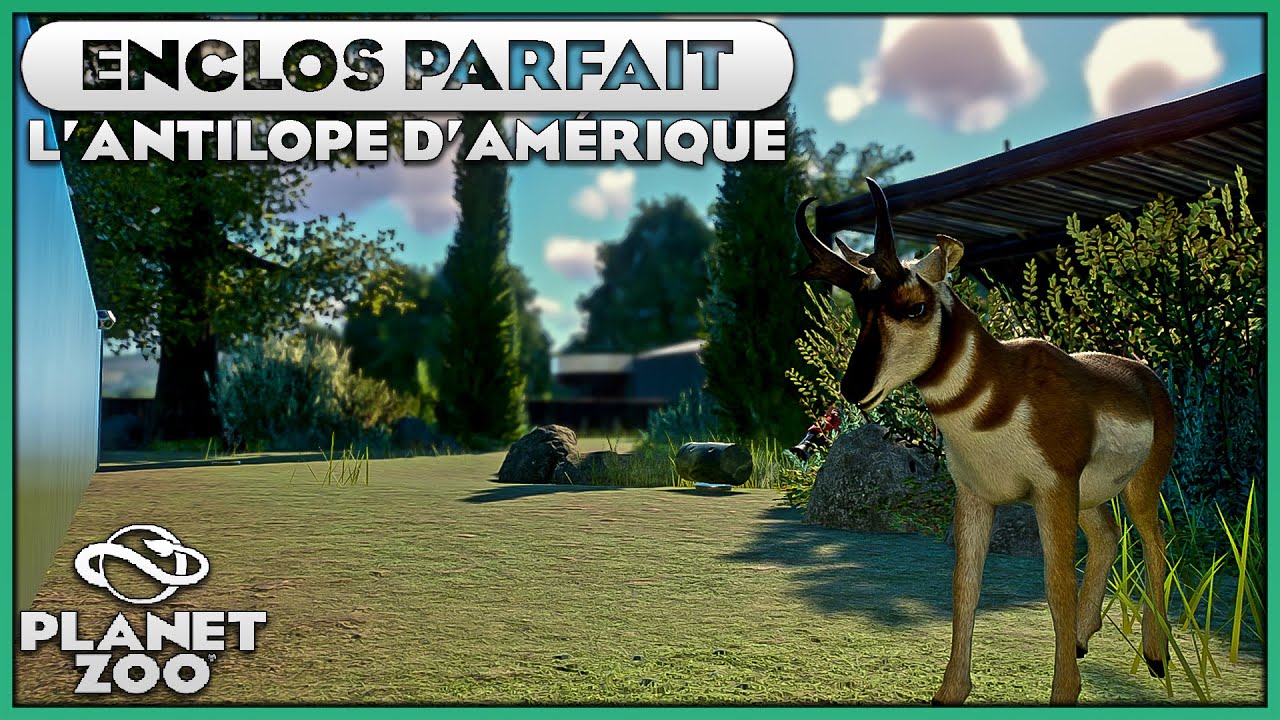 Les Antilopes d'Am&eacute;rique | LES ENCLOS PARFAITS : EPISODE 1 | PLANET ZOO