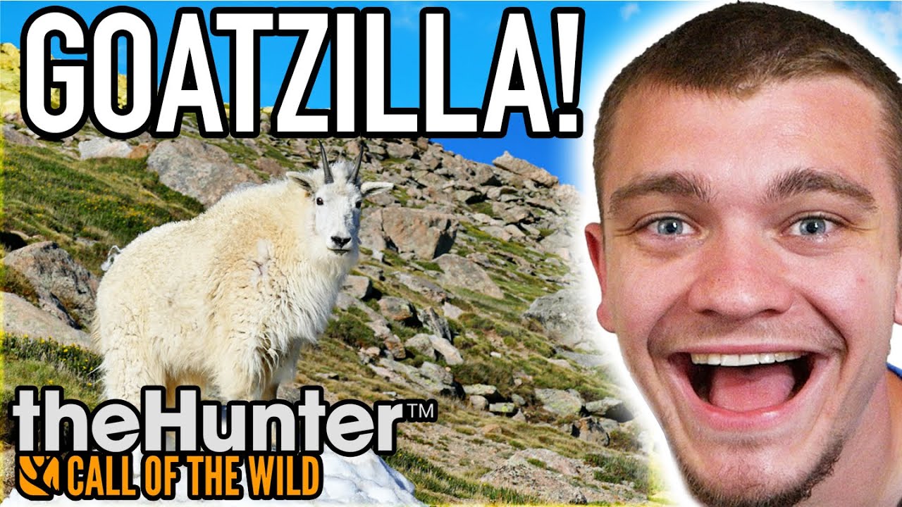 Hunting Down a Diamond Goat!