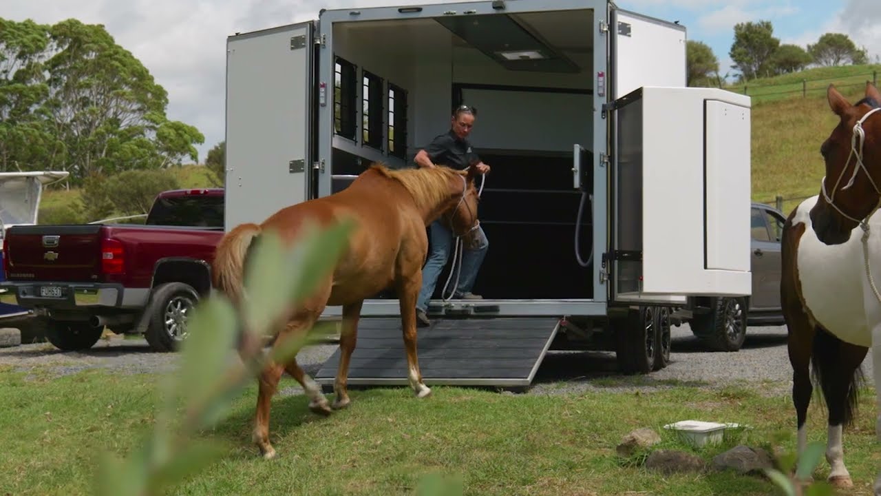 Areion Horse Floats NZ