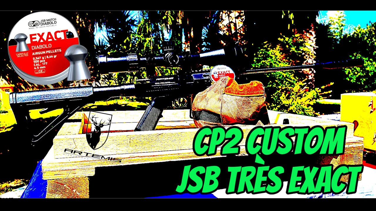 🇨🇵JSB Exact 22m Artémis CP2 AR15 CUSTOM #airgun #custom #pellets