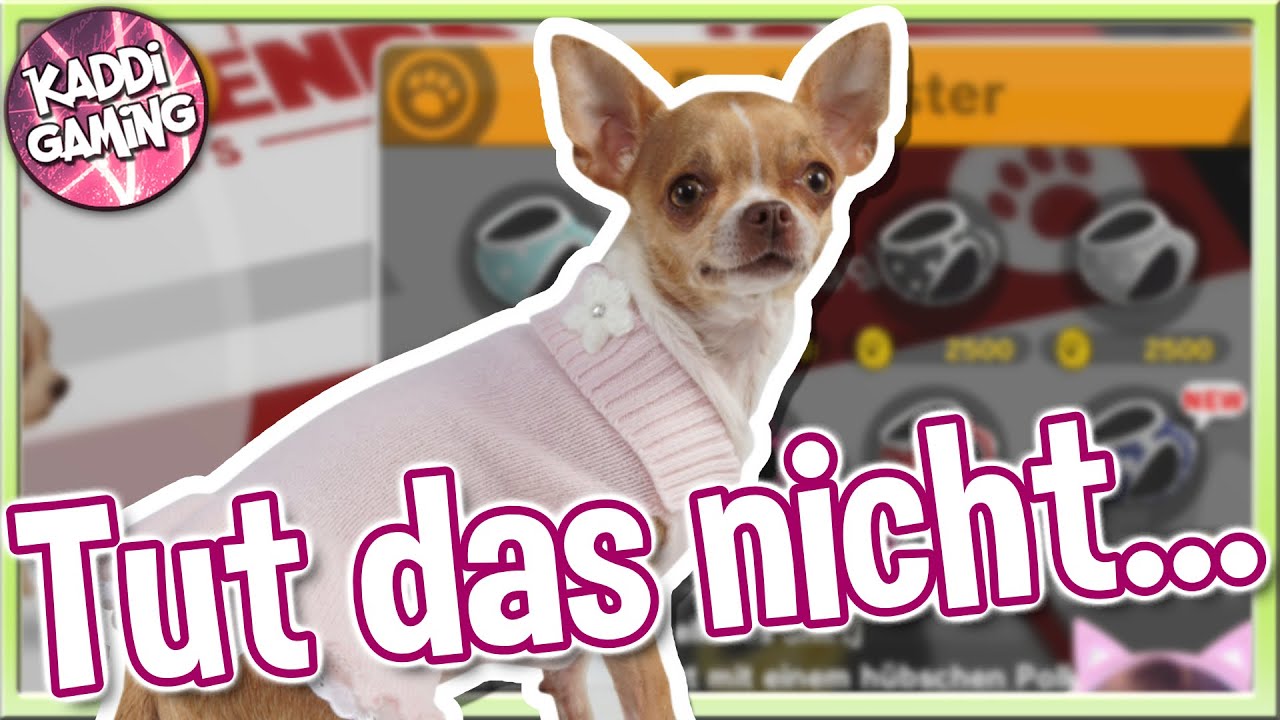 Tut das bitte nicht...!😅 🐕 Little Friends #03