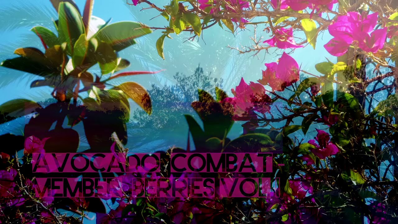 Avocado Combat - Member Berries Vol I  [Chillhop Mix]