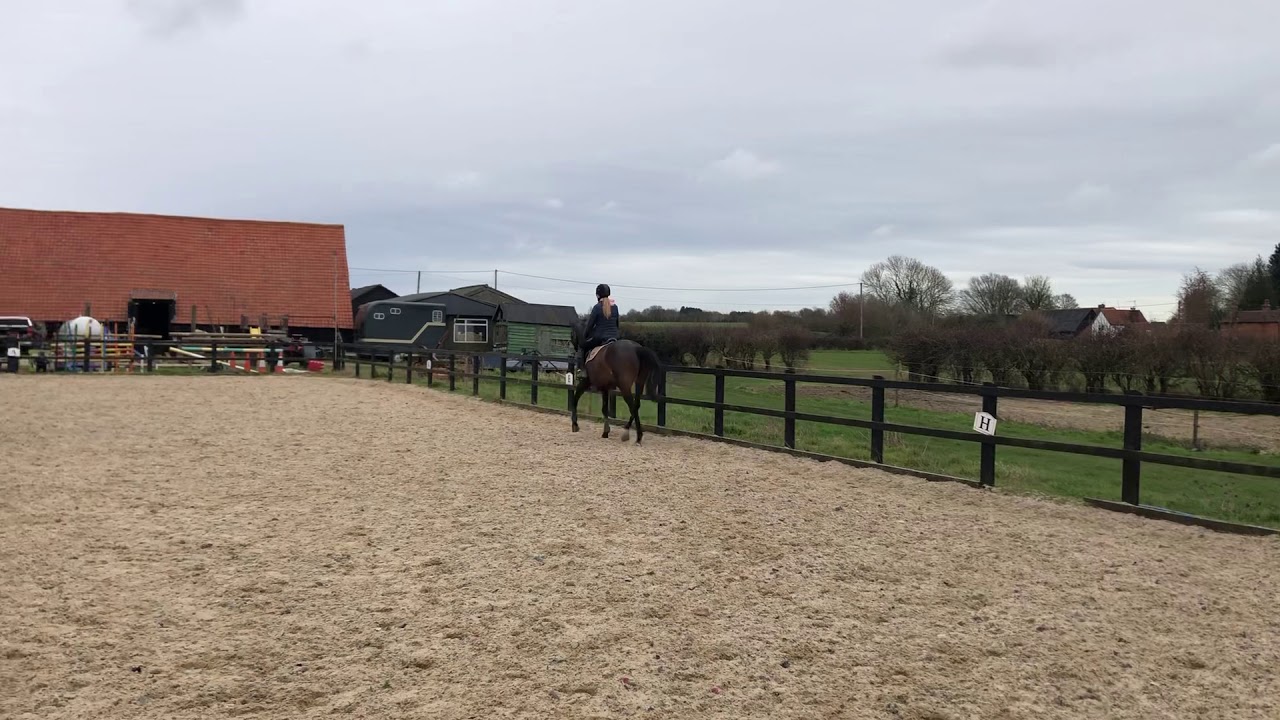 Darcie wells riding she&rsquo;s a dark hawk intro 2 February