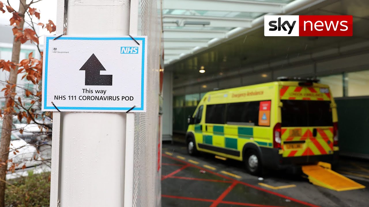 Patient in UK dies after testing positive for coronavirus
