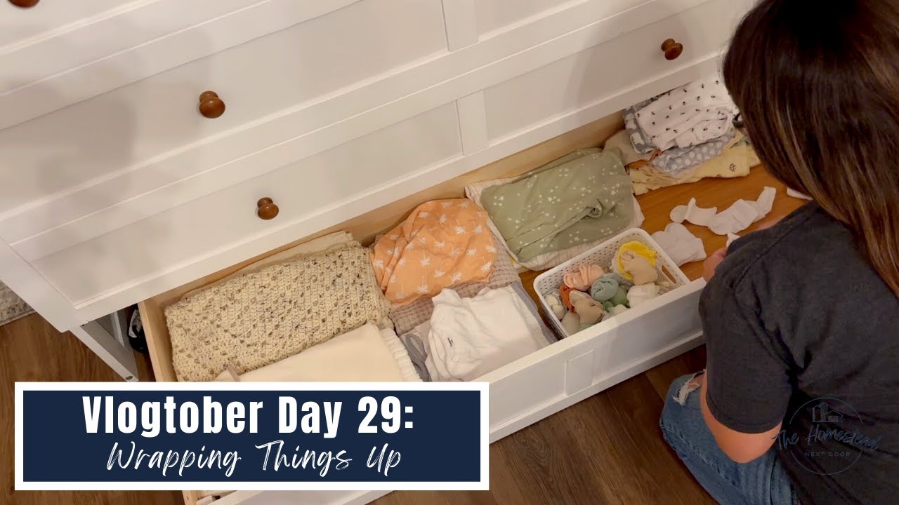 VLOGTOBER DAY 29: WRAPPING THINGS UP, LAST DAY OF VLOGTOBER