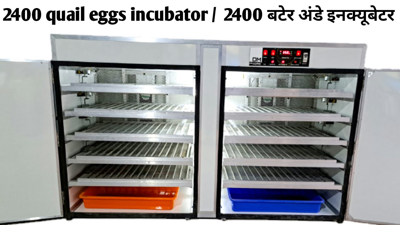 2400 Quail Egg Incubator from Dellmarc #quaileggs #chicken #incubator