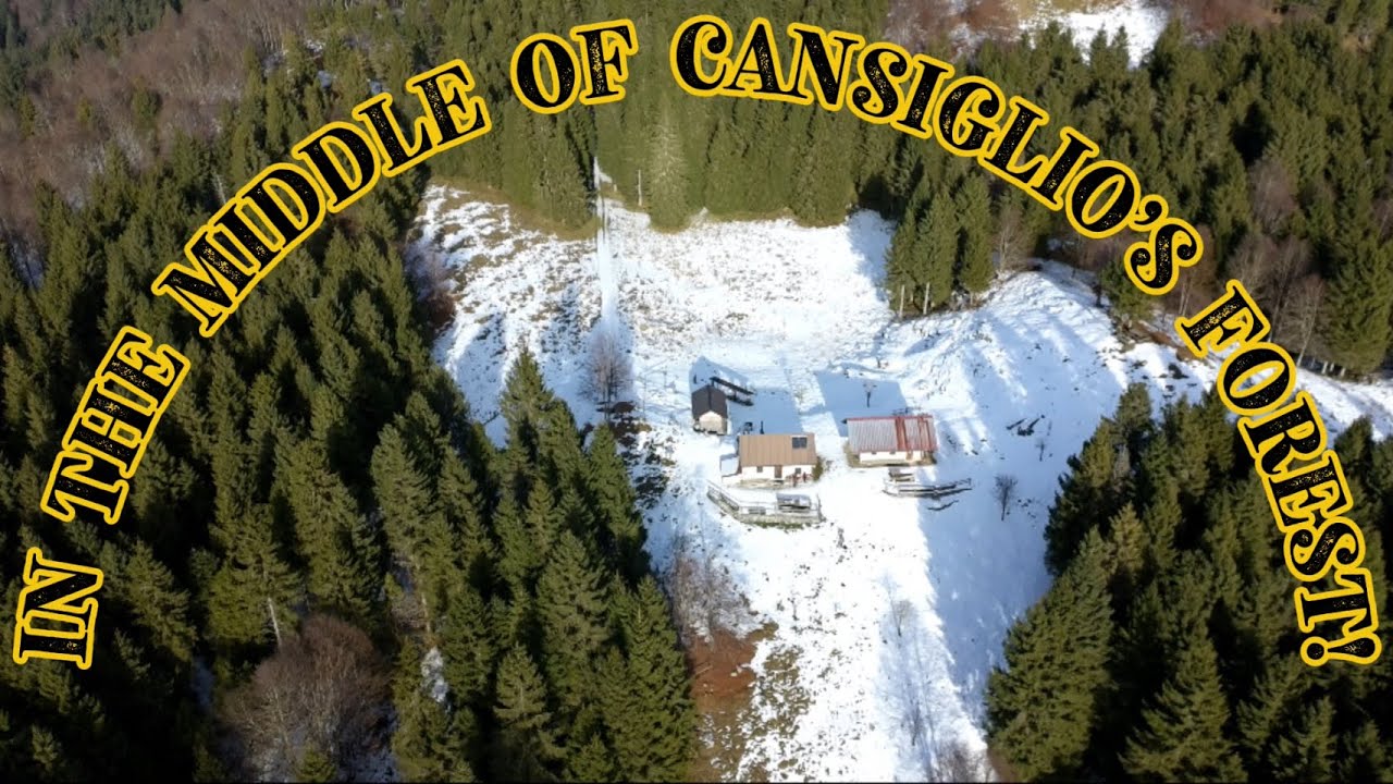 BIVACCO SILVIO E RUDY - FORESTA DEL CANSIGLIO