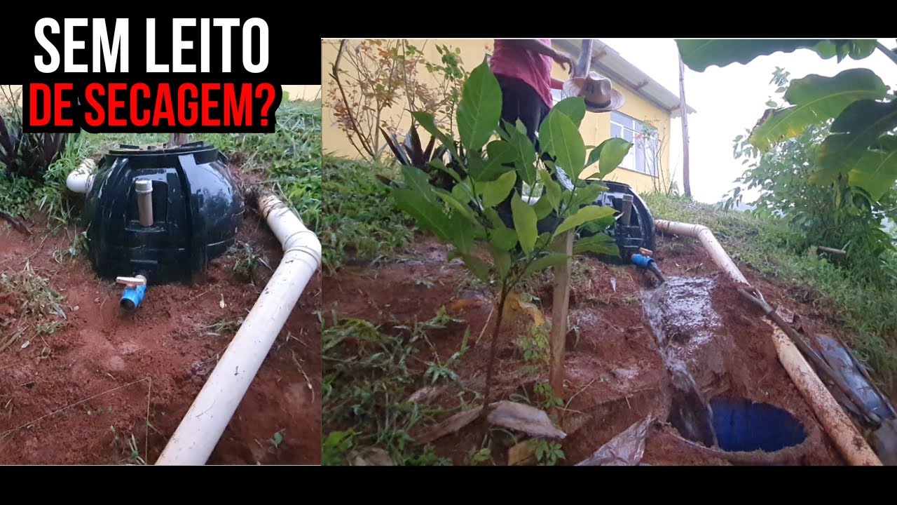 Biodigestor: Limpei o lodo sem ter Leito de Secagem e Sem Gastar!