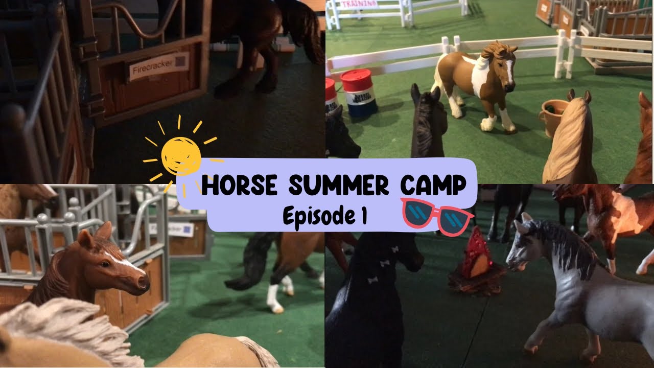Horse camp series! ☀️💖
