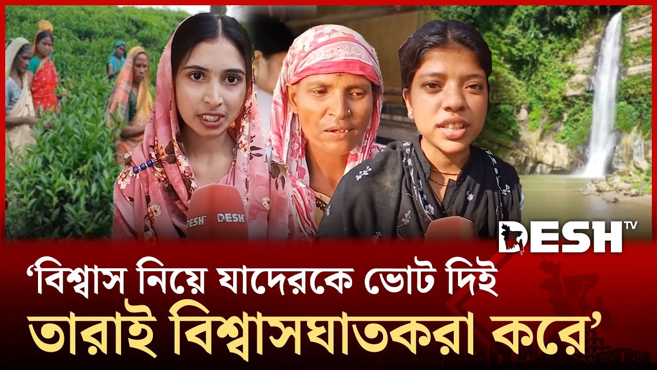 নতুন সরকারের কাছে চায়ের রাজ্য মৌলভীবাজারের নারীরা চায় তাদের অধিকার | Moulvibazar | Desh TV