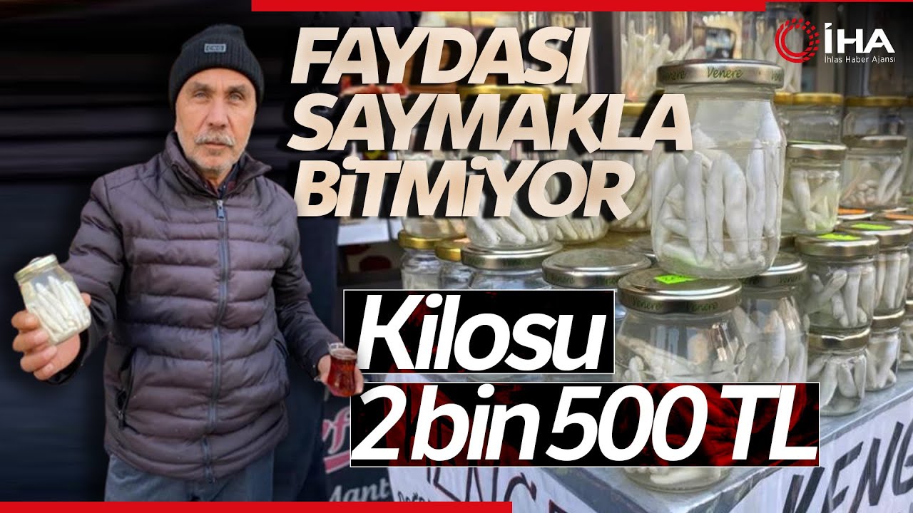 Kenger Sakızı Ne İşe Yarar? Kenger Sakızının Kilogram Fiyatı 2 Bin 500 TL
