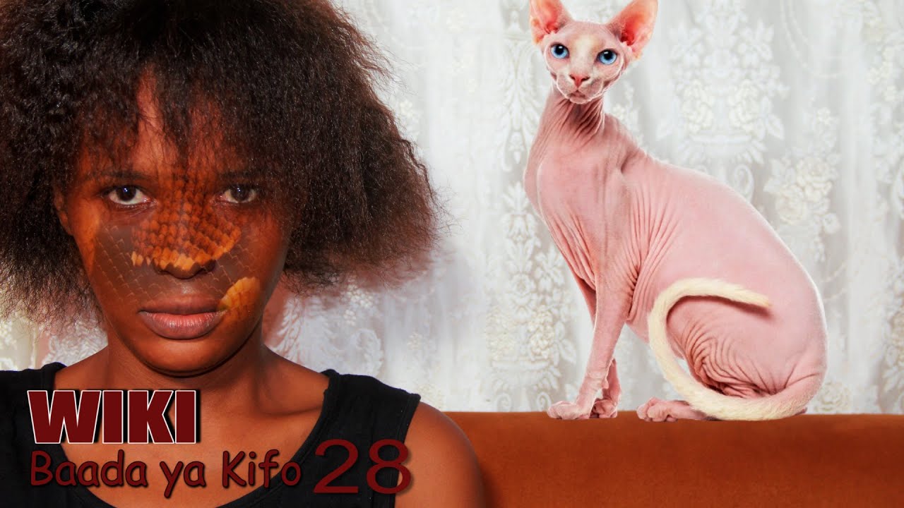 WIKI BAADA YA KIFO | 28 |