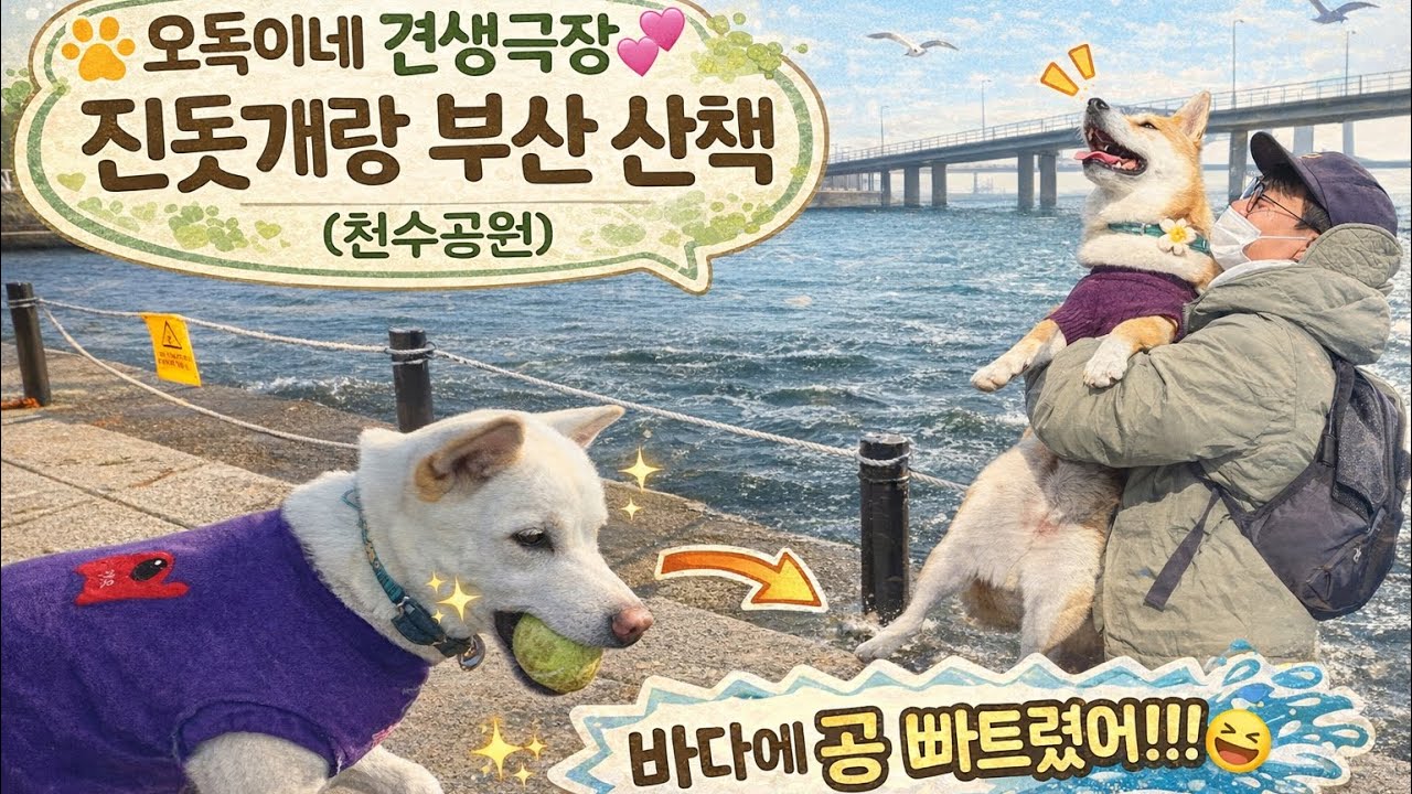 넓은 들판에 바다내음 물씬 맡고 싶다면?! 요기로 놀루와!! #오독이네 #견생일기