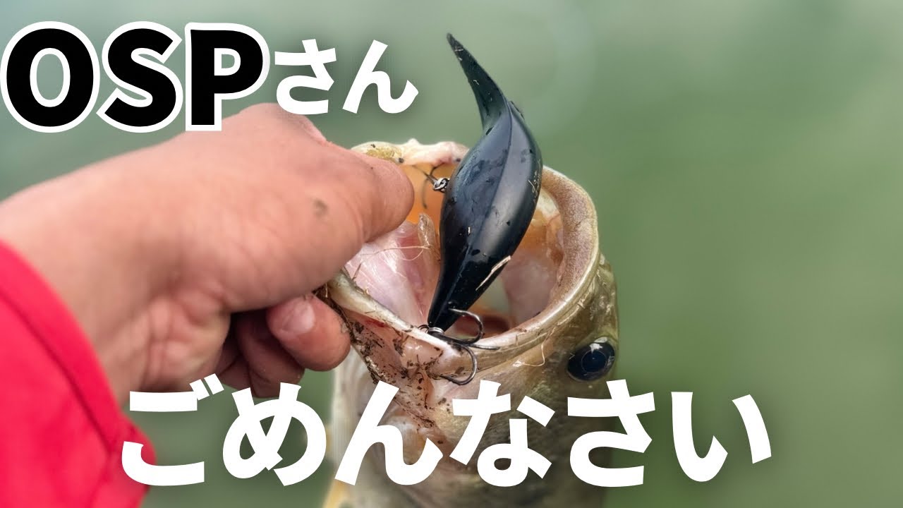 【バス釣り】話題のダックビル【OSP】の1番釣れる使い方、泳がせ方を考察しながら実釣してたら、魚が狂いました。他にはない、圧倒的ルアーパワーをご覧下さい。【2024最新ルアー】【流行りのルアー】