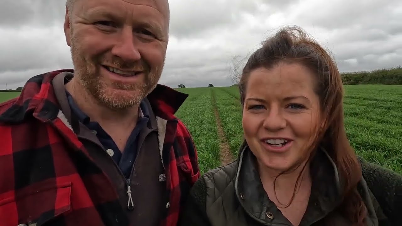TRACTORING! Getting the SPRING WHEAT and FODDERBEET planted on our WELSH DAIRY FARM