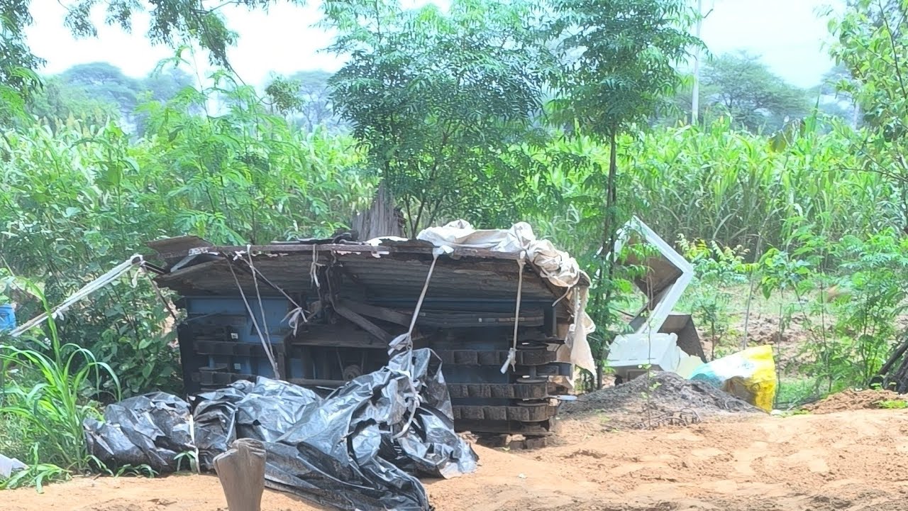 गौ माता और प्राकृतिक खेती पर सरकार दे रही है 💵 पैसे #live #viral #farming
