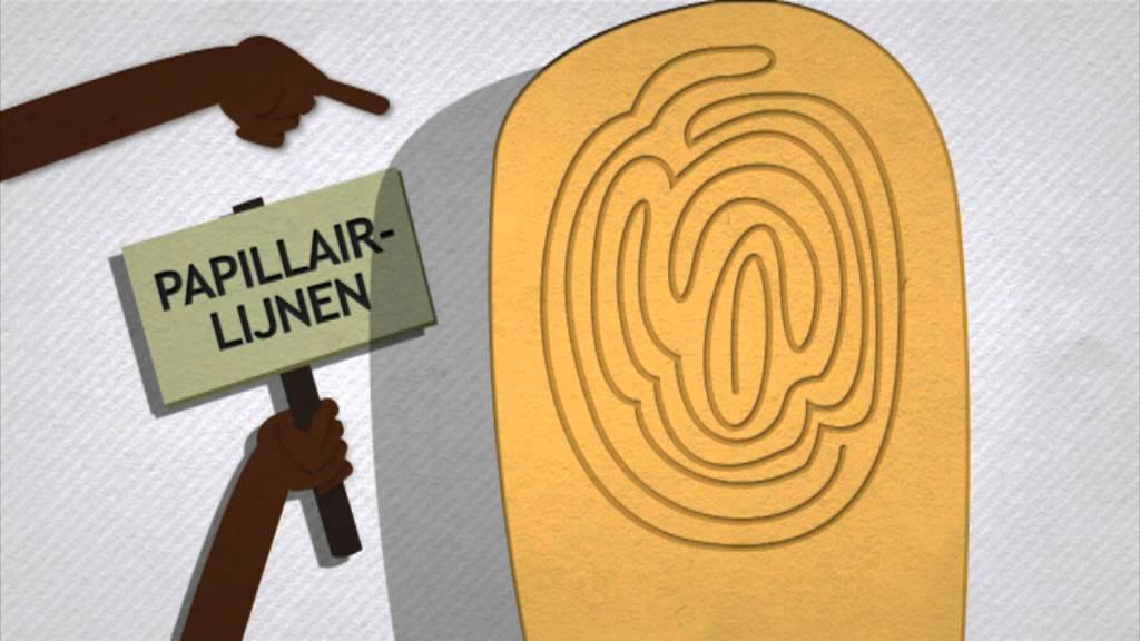 Zijn vingerafdrukken uniek?
