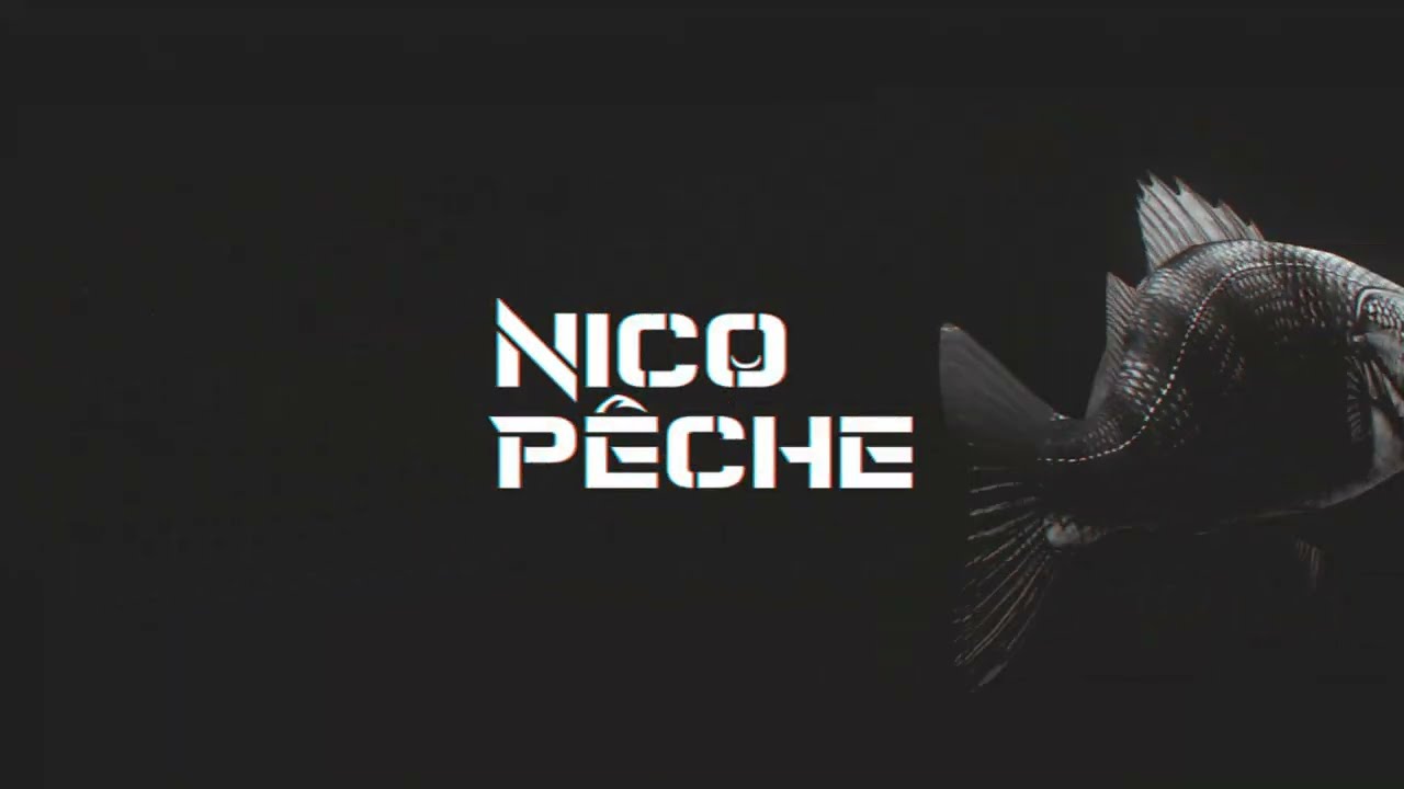Présentation Mitchell GT Pro Carp Set + Accessoires