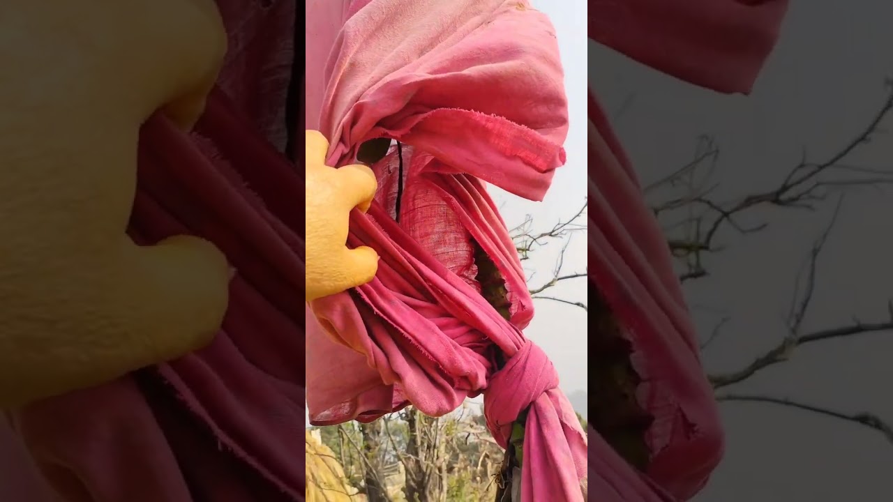 मायके# का मिनी व्लॉग ##youtubevidiyo